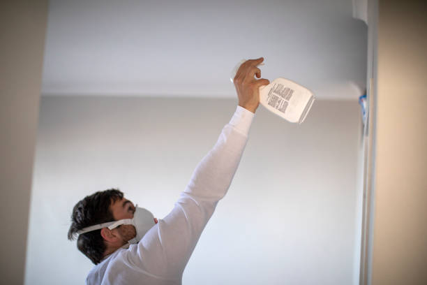 Best Home Mold Removal  in Santa Ana, CA