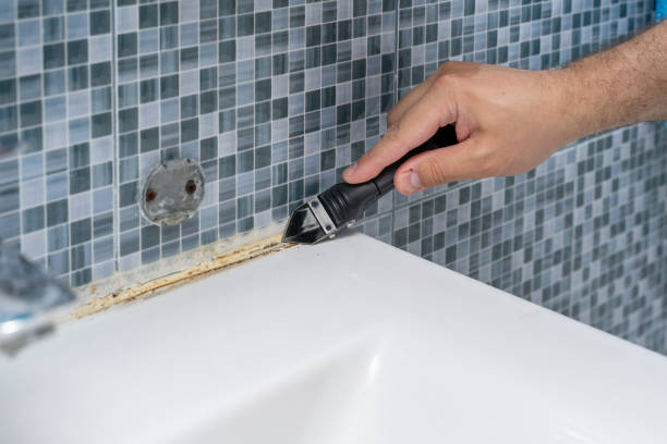 Mold Removal Process in Santa Ana, CA