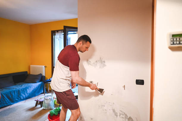Best Best Mold Removal Companies  in Santa Ana, CA